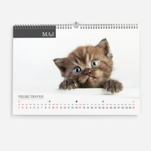 Stenski koledar s fotografijo