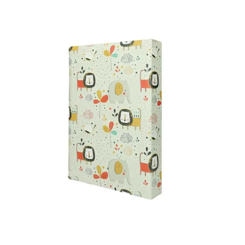 Foto album za razvite fotografije 300