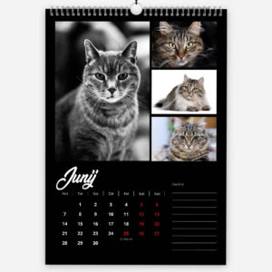 Black and white and color photos of various cats on a calendar page.
