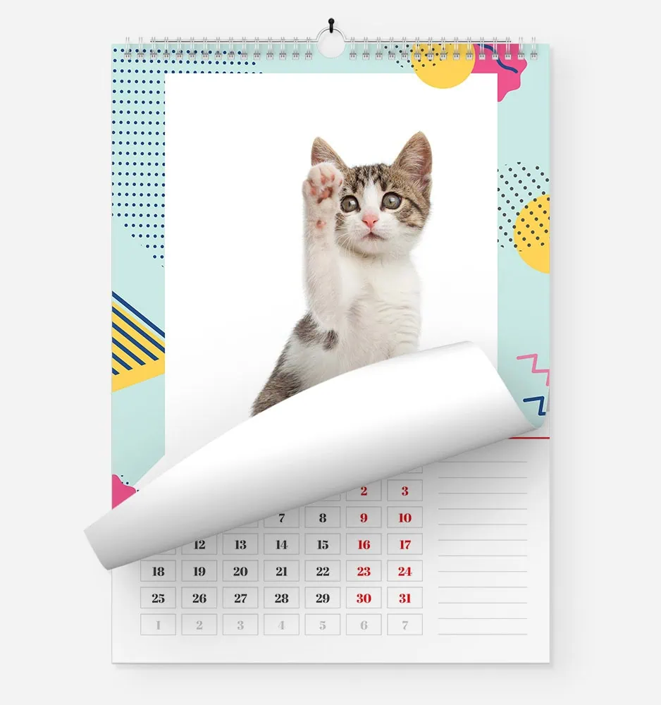razigrana_1 Cute kitten reaching out with paw on colorful calendar background.