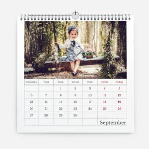Child sitting on a wooden swing in a forest during September.