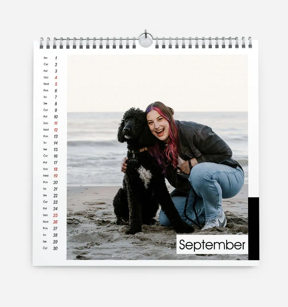 stolpec_k_7 Young woman with pink hair and black dog on a beach in September.