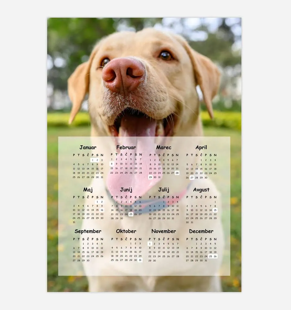 Close-up of a happy dog with a blurred park background.