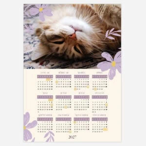 Cute sleeping tabby cat with purple floral accents on a 2027 calendar.