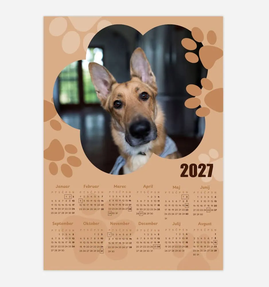 Cute dog looking at camera on a 2027 calendar background.